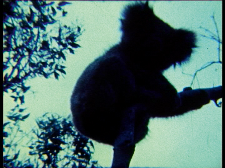 Natascha Stellmach, Still from Oi Oi Oi, 2006, Super 8 film transferred to video, sound, 3:30 min video loop