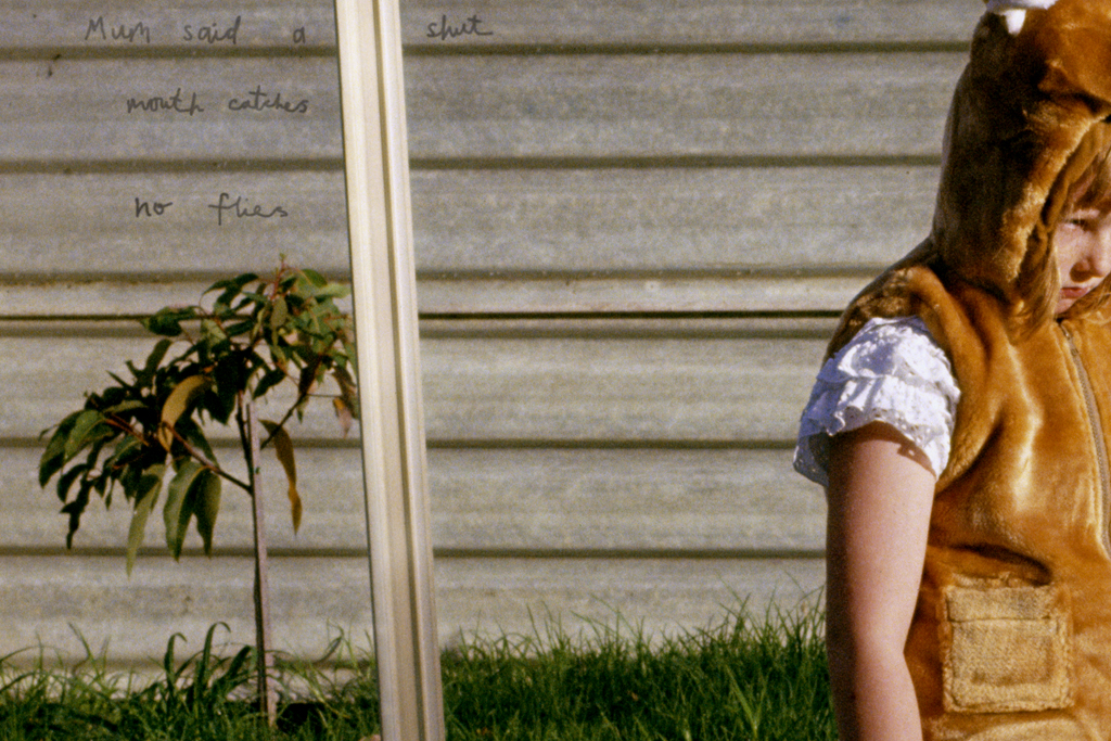 Natascha Stellmach, secret 2 (detail), 2008