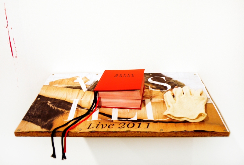 Natascha Stellmach, Installation view, Media Whore, 2010, hand-bound artist book, 440 pages, digital printing on paper, ribbon, faux leather, 16 x 13 x 6 cm on shelf made from band posters