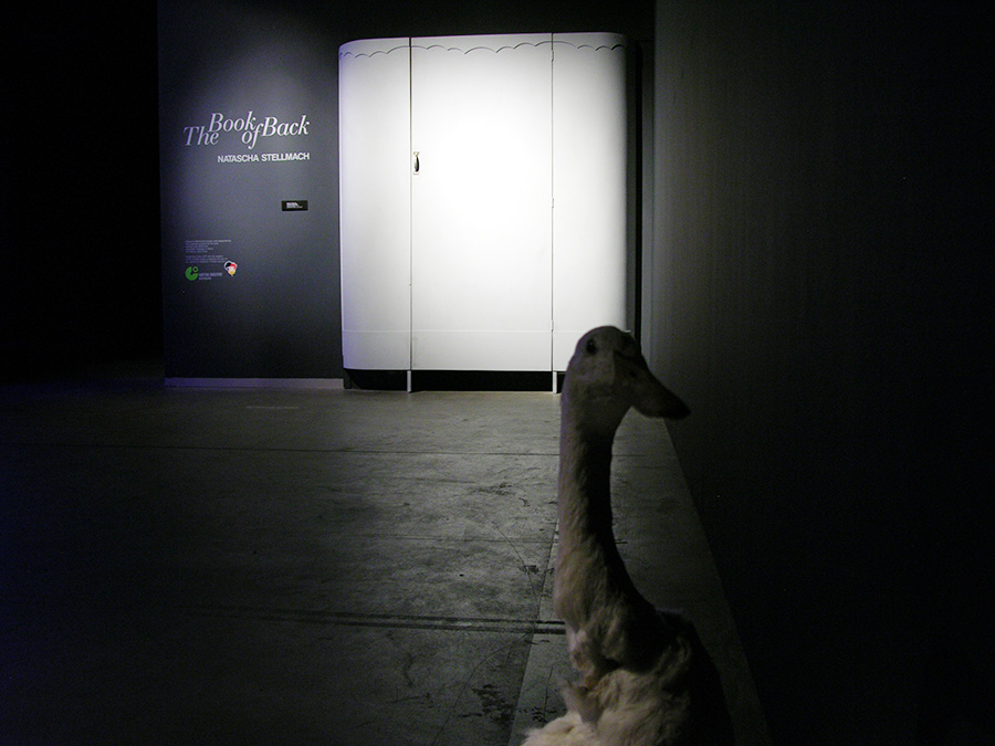 © Natascha Stellmach, Installation view (entrance): The Book of Back, mixed media, ACP Sydney, 2007
