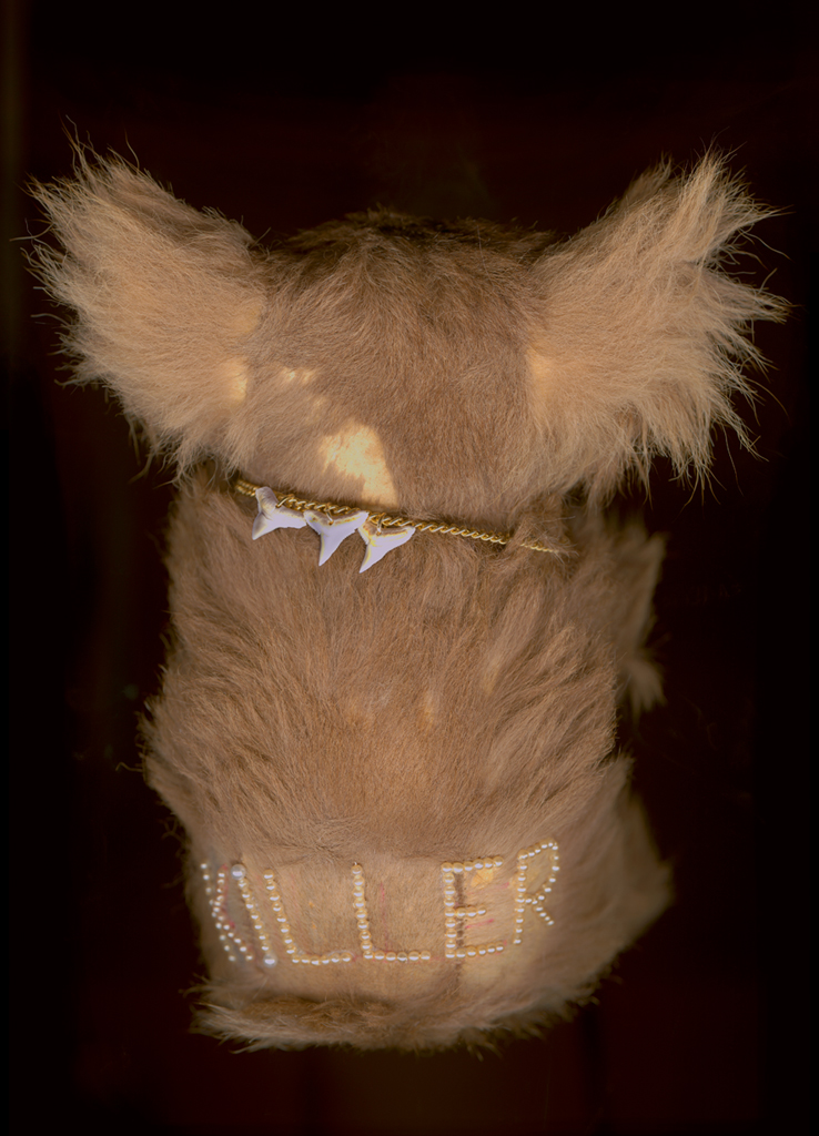 Killer (from the series Worry Dolls), archival ink on photo rag, 60 x 44cm, 2010